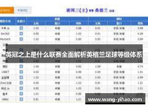 英冠之上是什么联赛全面解析英格兰足球等级体系 英冠之上是什么联赛全面解析英格兰足球等级体系